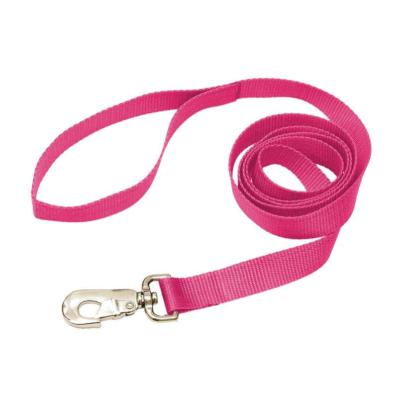 Nylon Leash, - Lucky Pet